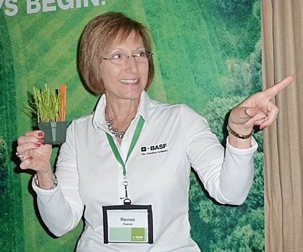 dr bruce martin fungicide program for bermuda dr bruce martin fungicide program for bermuda