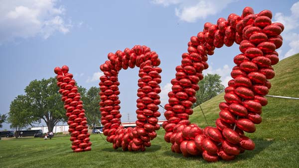 Minnesotans celebrate Toro Day