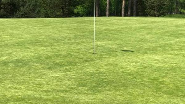 Fine tune PGR apps for better seedhead suppression