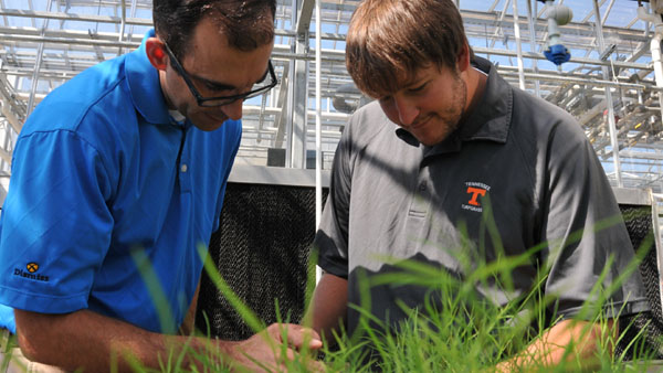Interactive Poa field day available for on-demand viewing