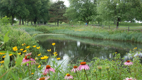 Minnesota BMPs promote relationships between golf and state agencies