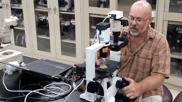 Passion still burns brightly for Florida nematologist