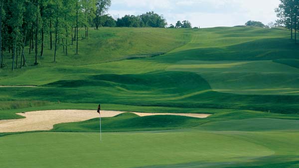 LebanonTurf pumping new life into Emerald Isle line