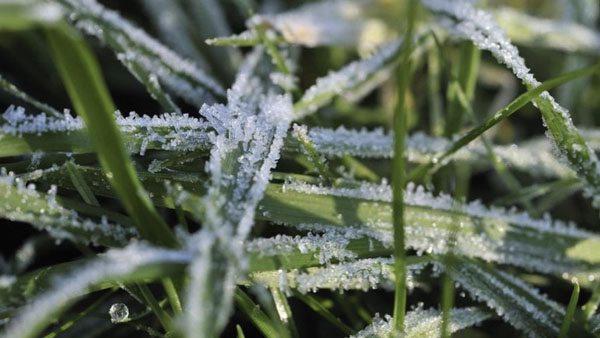 GRIGG webinar series sets table for winter prep