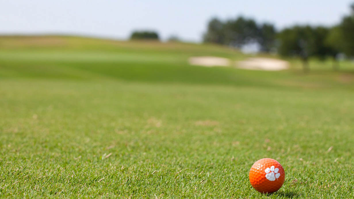Clemson turf management guide: almost everything to almost everyone