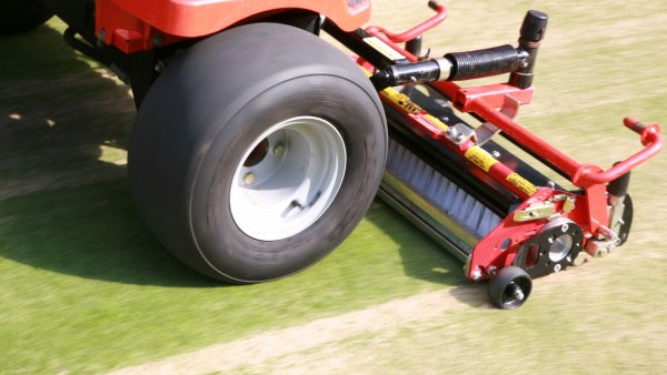 Brush then roll to work in topdressing