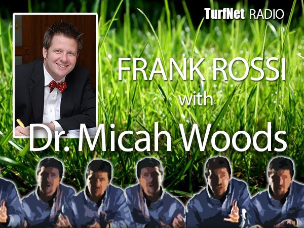 woods_600x450.jpg