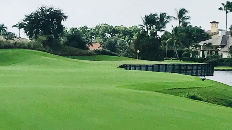 Laude 36 Inroads Into Florida Golf Began When Two Laude 36 Inroads Into Florida Golf