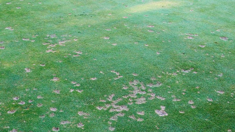 010319dollarspot.jpg
