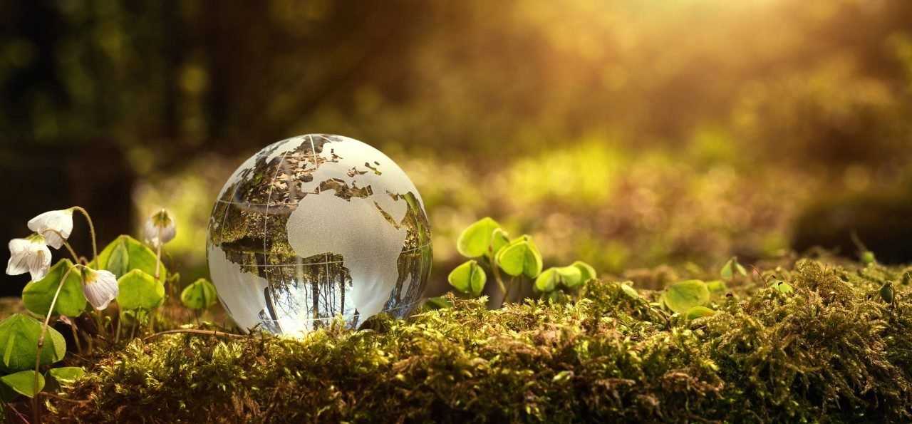 The Lost Ship of Sustainability??
