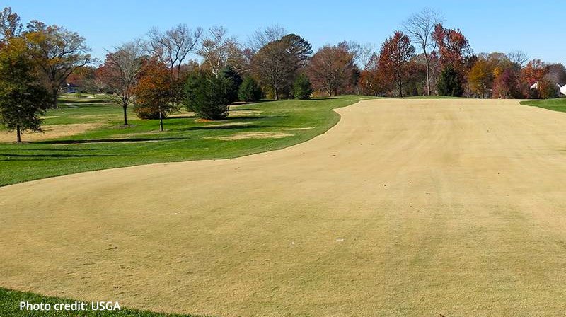 Nufarm launches new Cheetah Pro herbicide - News - TurfNet