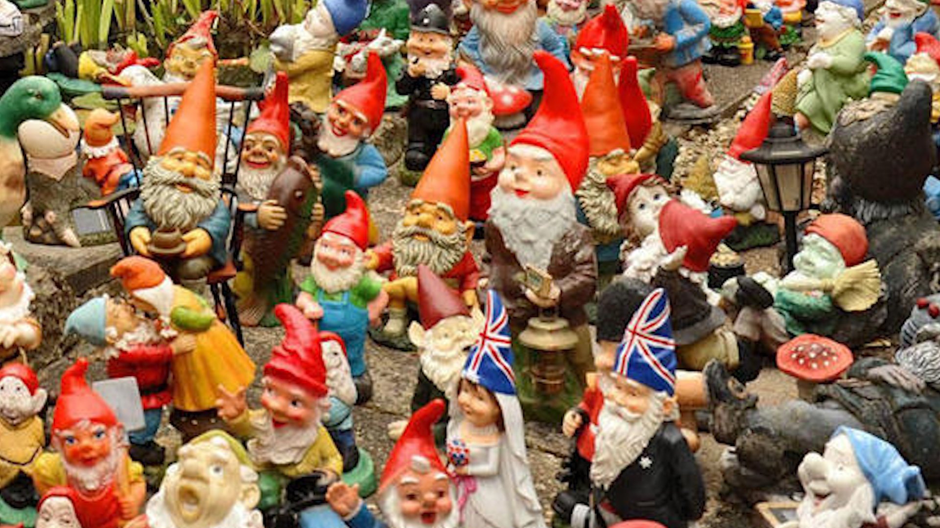 Gnomicus: Curative or Preventative?