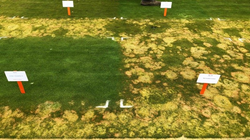 TurfNet kicks off 13th year of free online education - News - TurfNet