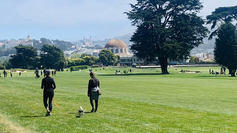 043020sfgolf3.jpg