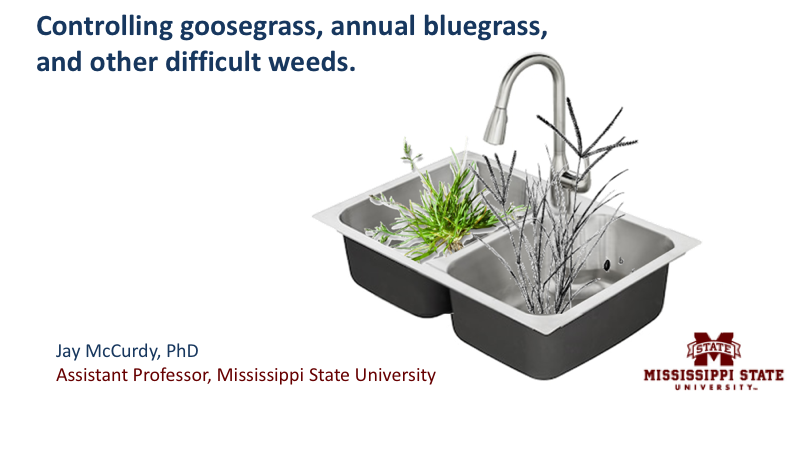 Programmatic approaches to weed control in managed turfgrass systems ...
