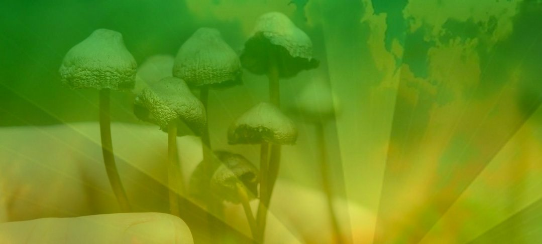 Rockbottum Radio: Positive Energy Defeats Negative Vibes
