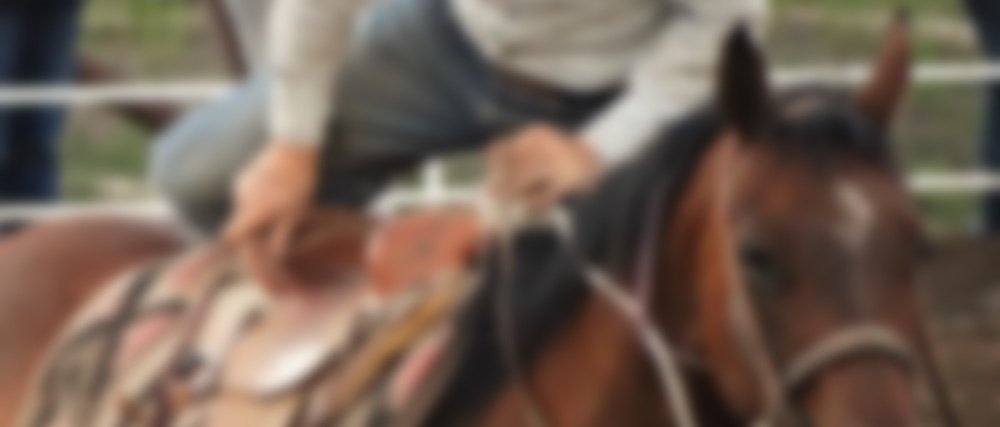 Getting Back In The Saddle...