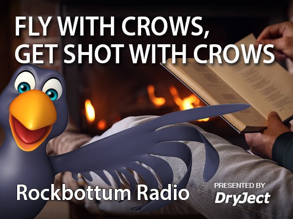 crows_600.jpg