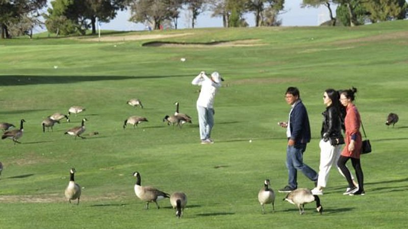 042822publicgolf.jpg