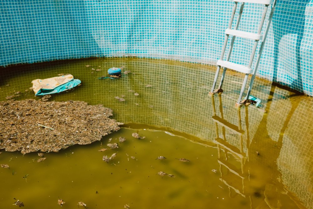 47993215_dirtyswimmingpool0.thumb.jpg.8935be703c321b8f7b86701fde7bf75c.jpg