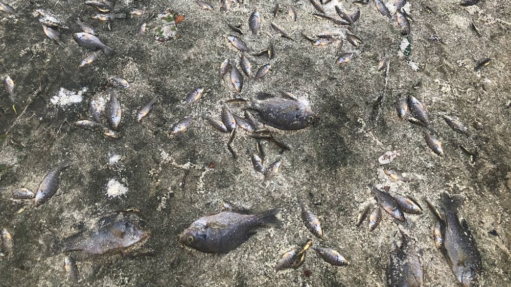 100622 hurricane.jpg