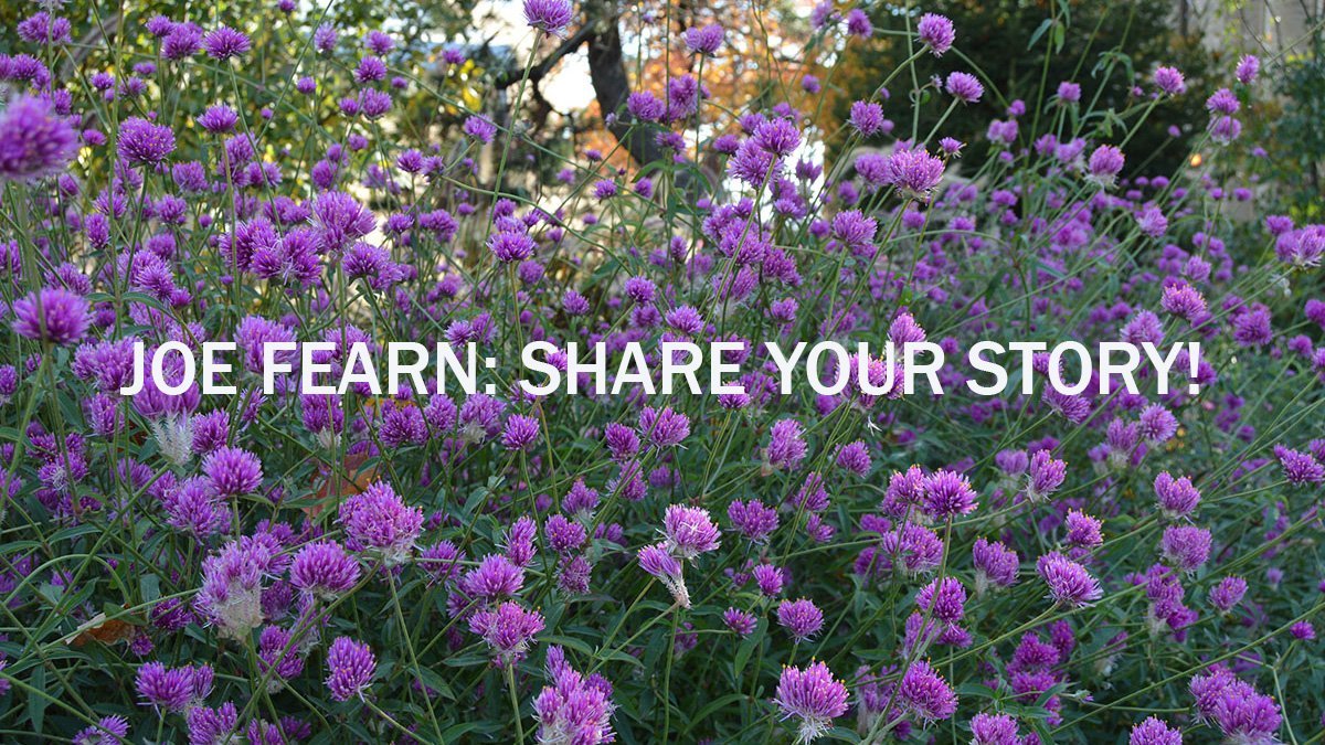 Share your story, trumpet your Joe Fearn, Third