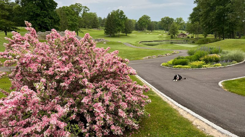 072924 aud int 2.jpg