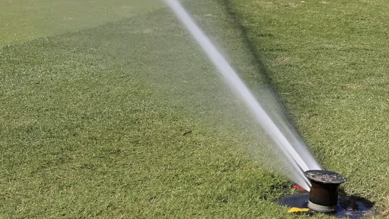 More information about "Study links threat of Parkinson's disease to golf course proximity"