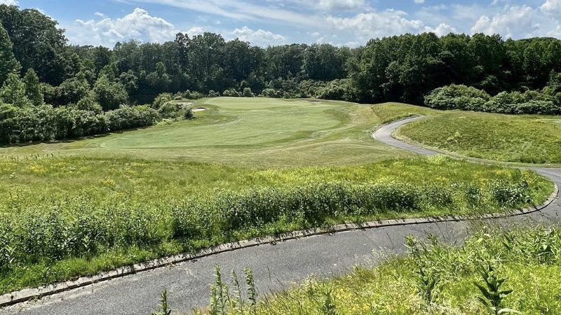 101625 alliance 3.jpg