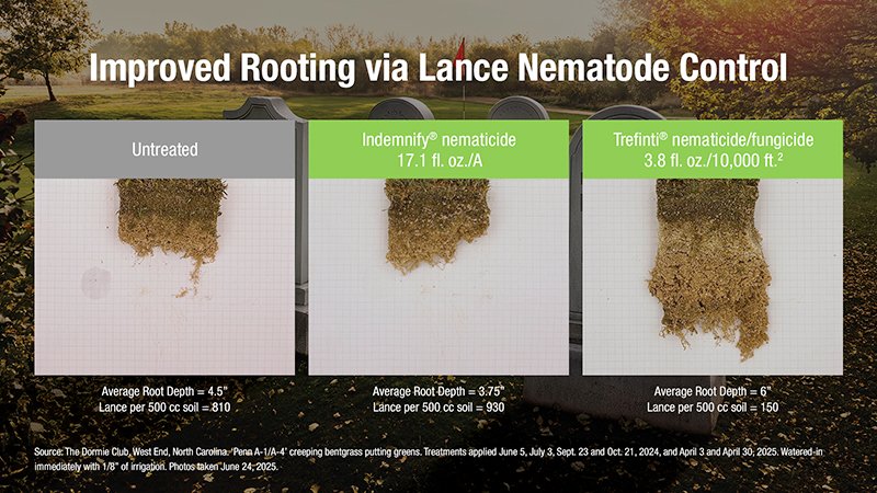 111225 trefiniti 1.jpg