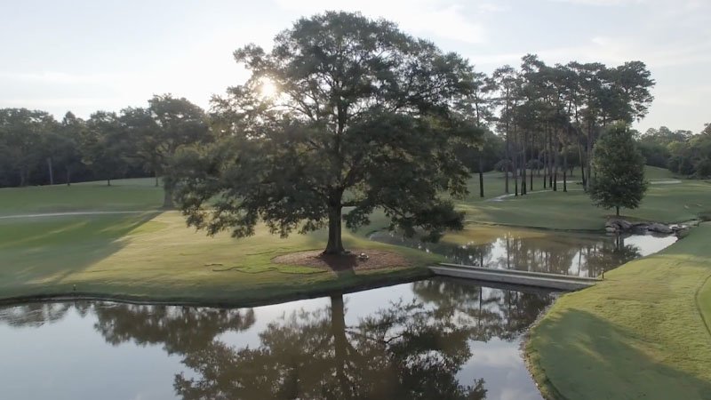 More information about "Georgia chapter inducts Workman into hall of fame, names super of the year"