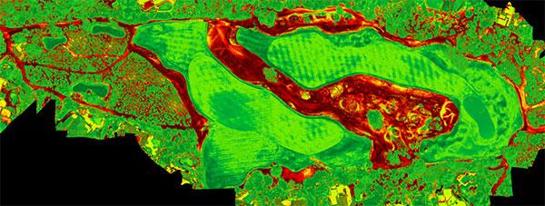 Same image of a desert course in Relative Turf Health Index mode.