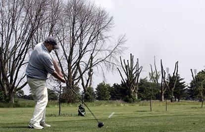The effects of Emerald Ash Borer is evident on golf courses throughout the Great Lakes region and beyond. Photo by The Toledo Blade
