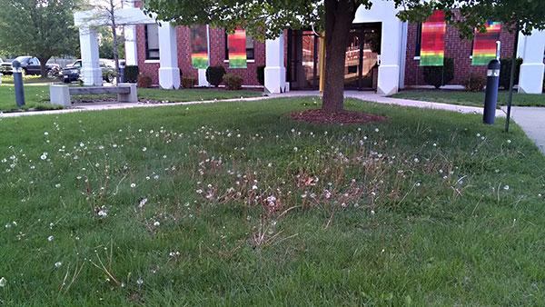 When there is no budget for maintenance, quality will diminish. Cultural approaches must compensate.