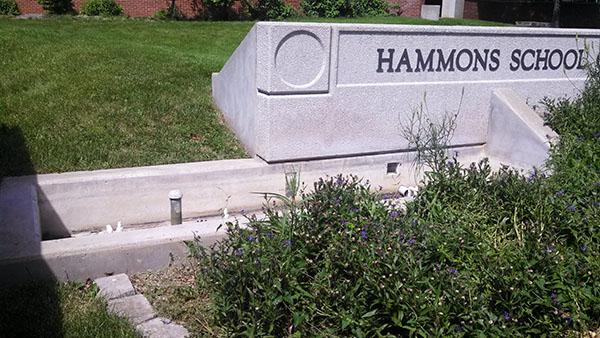 Bad: Weeds in a bed of perennials