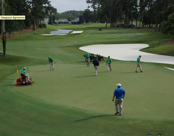 Volunteers help at the 2015 Players Championship at TPC Sawgrass. Photo by TPC Sawgrass Agronomy
